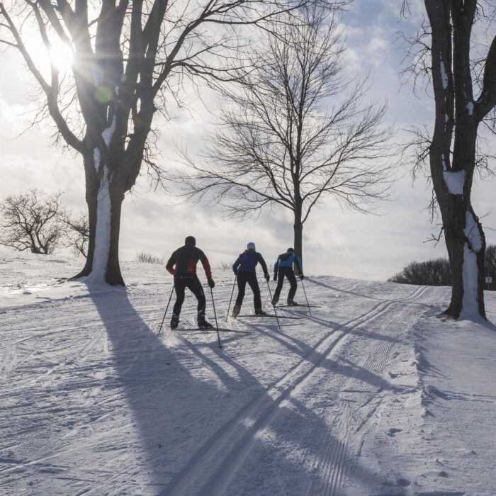 Ideal Canadian Winter Sports Activities