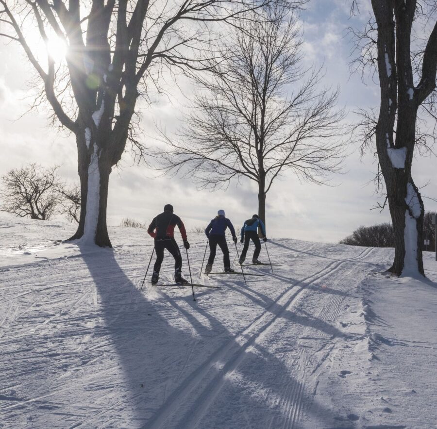 L’itinéraire sportif du parfait Canadien