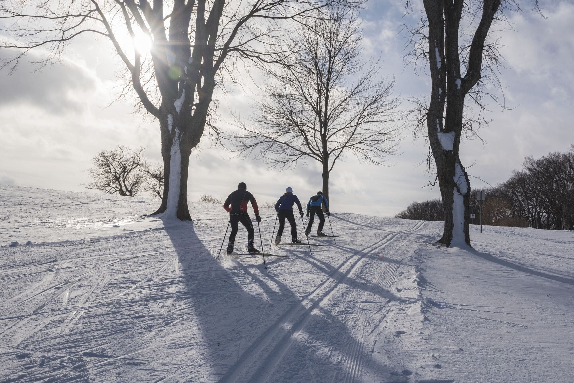 Ideal Canadian Winter Sports Activities